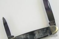 Smooth Bone Pen 2 Blade #33