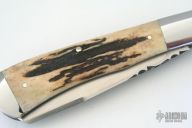 2 Blade Stag Trapper - Slipjoint