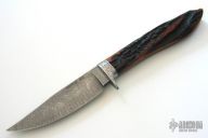 Amber Dyed India Stag Hunter (R. Newton)