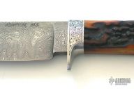 Amber Dyed India Stag Hunter (R. Newton)