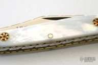 Customized Case Mini Copperhead