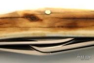 5 Blade Fossil Walrus Stockman - Slipjoint