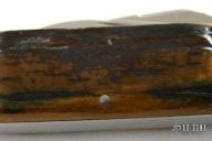 Two Blade Mammoth Bark Elephant's Toenail - Slipjoint