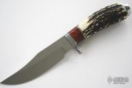 Stag and Red Maple Burl Clip Blade #158-113