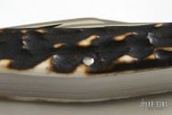 5 Blade Stag Stockman - Slipjoint