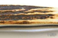 Single Blade Saddlehorn Trapper Stag Slipjoint