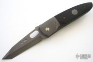 In-Frame Linerlock Tanto