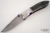 Ice Eye Mammoth & Damasteel Linerlock