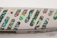 Abalone Steel Integral - Linerlock