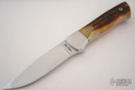 Amber Sambar Stag Clip Point Hunter