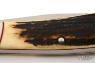 Stag One-Blade Trapper Slipjoint