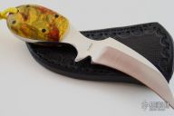 California Buckeye Claw