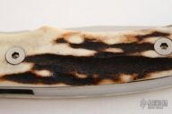 Stag #2 Folder Linerlock