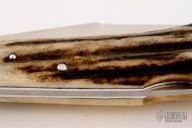 Stag Single Blade Lockback