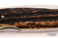 Whitewing Stag Lockback