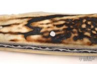 Large Modified Trapper - Natural Stag