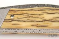 Damascus & Mammoth Ivory Bark Linerlock