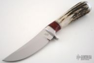 Sambar Stag & Red Maple Trailing Point  #178-39