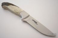 SDH1 Millenium - Stag