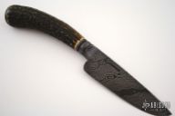 Damascus Stag Integral