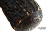 Damascus Stag Integral
