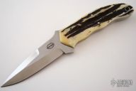 Sportster - Stag Scales