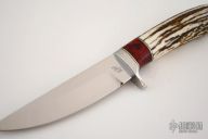 Weathered Elk and Red Maple Burl Straight Blade #172-41