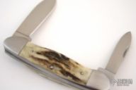 Sambar Stag Canoe Folder