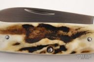 Sambar Stag Canoe Folder