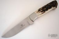 Ivory Drop Point Hunter