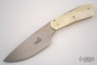 Warthog Ivory Mini Skinner
