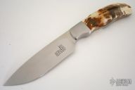 Warthog Ivory Hunter