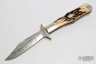 51050 Jumbo Cheetah - 0323/3500