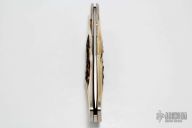 51050 Jumbo Cheetah - 0323/3500