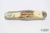 51050 Jumbo Cheetah - 1565/3500