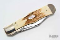 51050 Jumbo Cheetah - 1565/3500