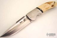 Amazonas - Mammoth Ivory