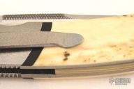 Amazonas - Mammoth Ivory