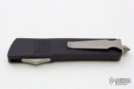 Troodon D/E #10376 06/2013