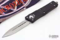 Troodon D/E #10376 06/2013