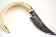 Warthog Tusk Knife