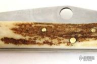 Moose Antler Slipjoint