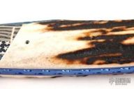 Flipping Flipper For Freedom