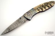 Damascus & Tiger Coral D/A