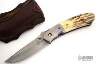 Damascus & Stag Folder