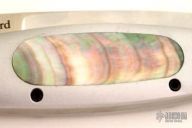 "Next Generation" Lile Lock Folding Hunter - Collector Model