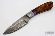 Meteorite Drop Point Hunter