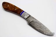 Meteorite Drop Point Hunter