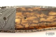 Damascus & Mammoth Ivory Folder