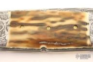 Damascus & Mammoth Ivory Folder